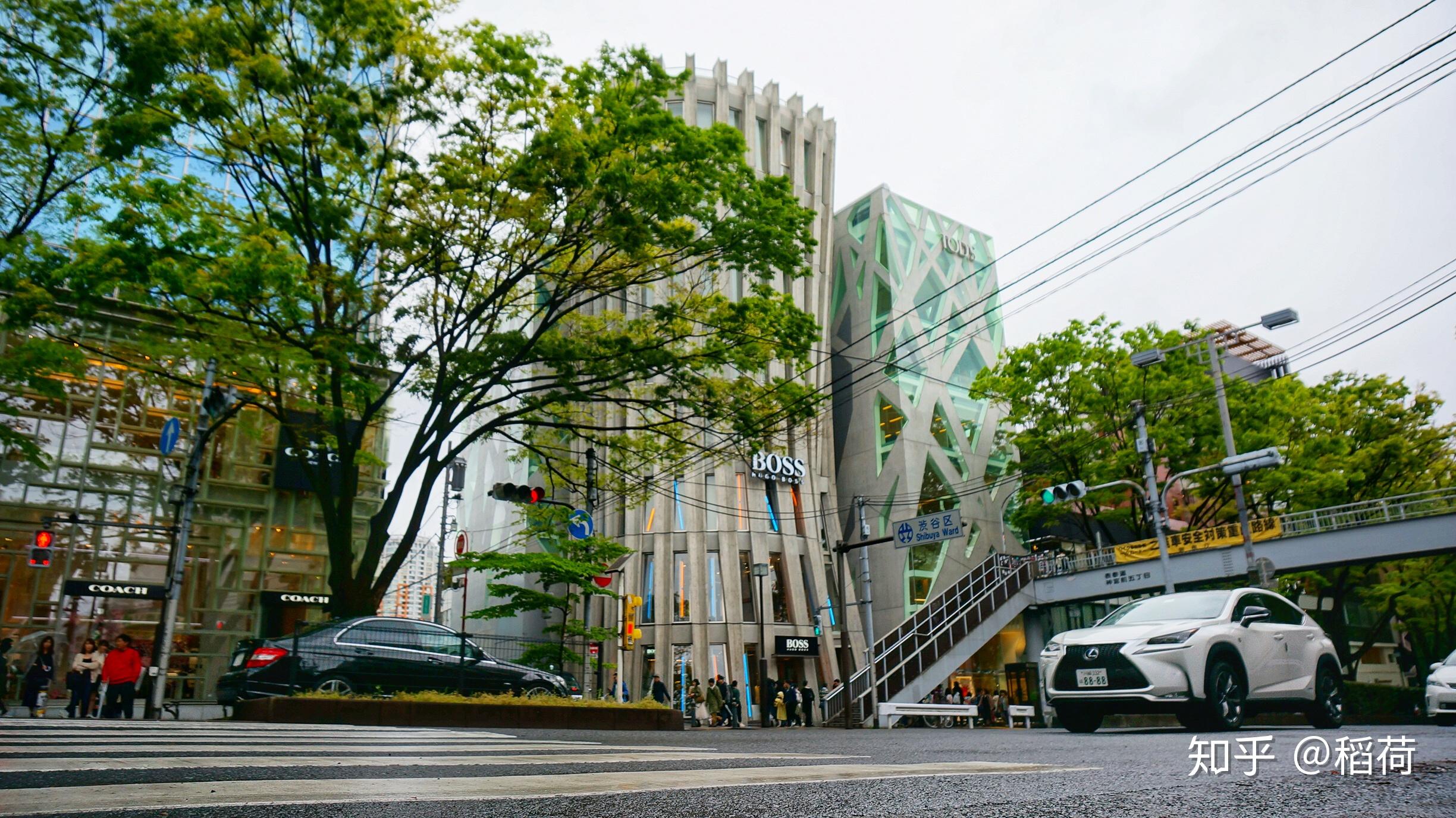 东京的新宿涩谷银座池袋六本木哪个更加繁华各有什么特点呢
