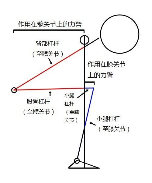 如何完成正确的深蹲深蹲常犯的错误