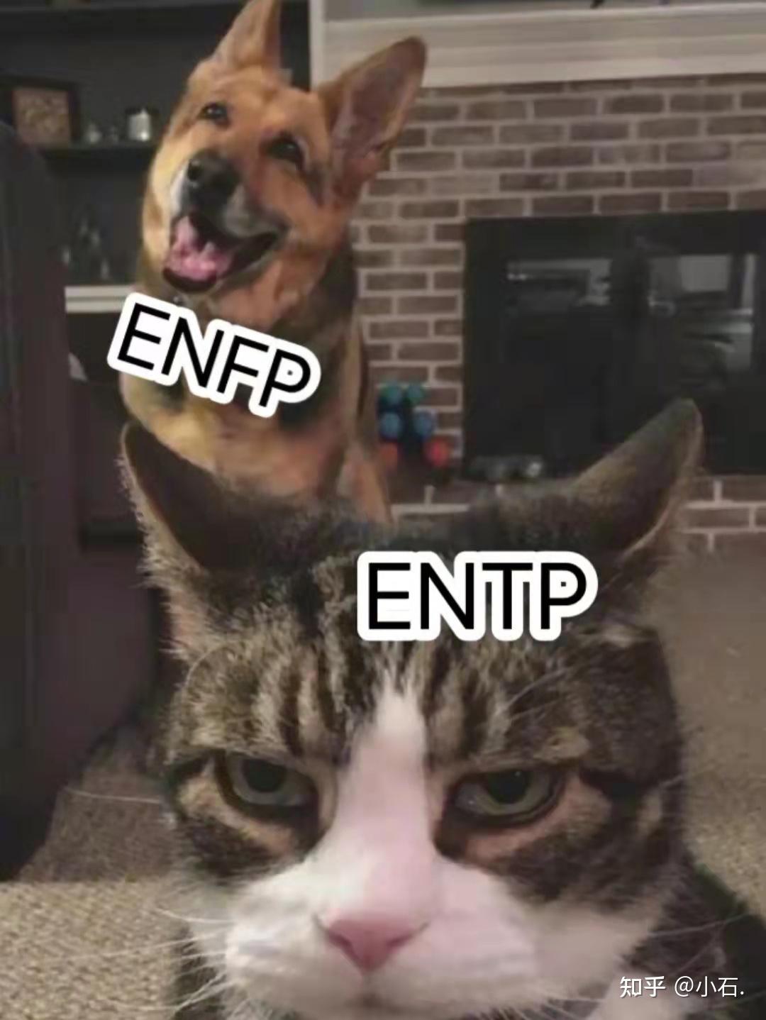 Entfp ENFP型女生性格 - 知乎