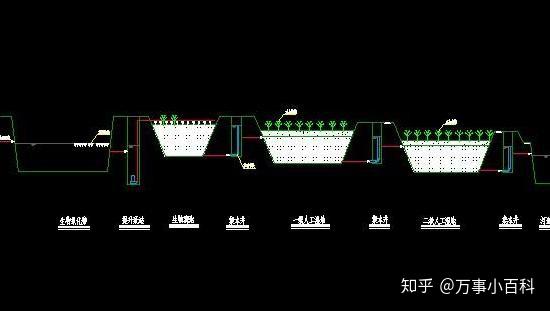 土壤修复：绿色大地上的生命守望者