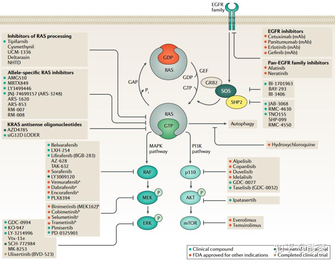 不可成药靶点被攻克的那些秘密,都在这篇112分的重磅综述里面了! - 知乎