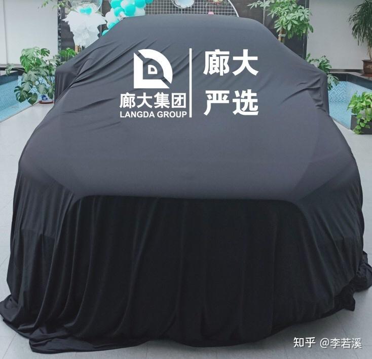 去廊坊廊大严选买二手车