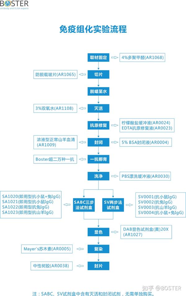 免疫组化/荧光实验新手入门 - 知乎