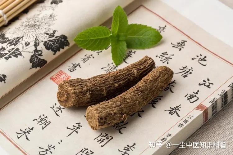 木香的功效与作用 - 知乎