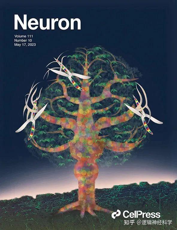 Neuron Academic Neuron︱收藏!2023年期刊封面文章汇总 - 知乎
