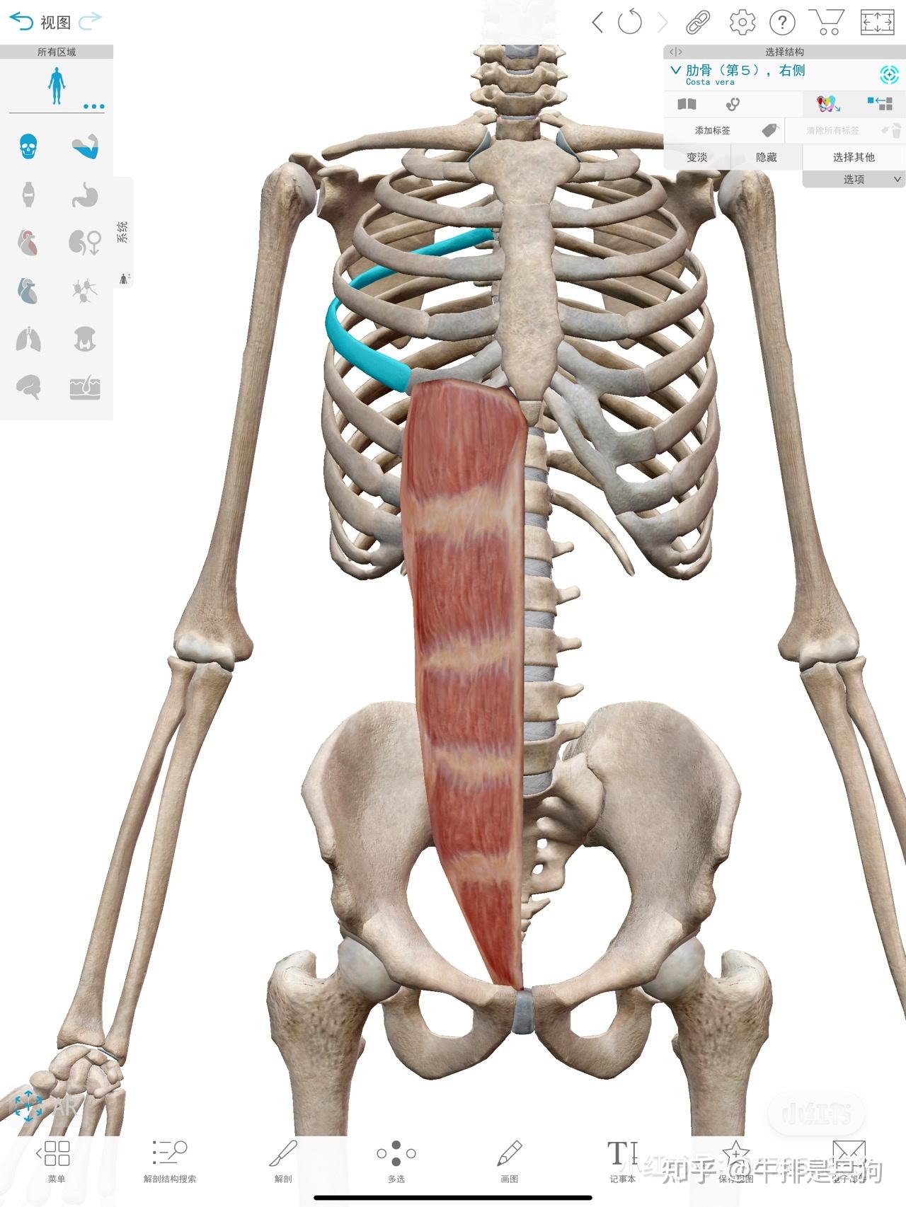 4解剖列车前表线2