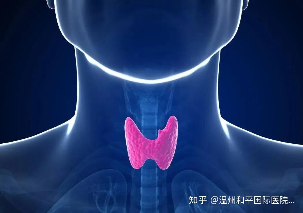 检查出甲状腺结节应该怎么办