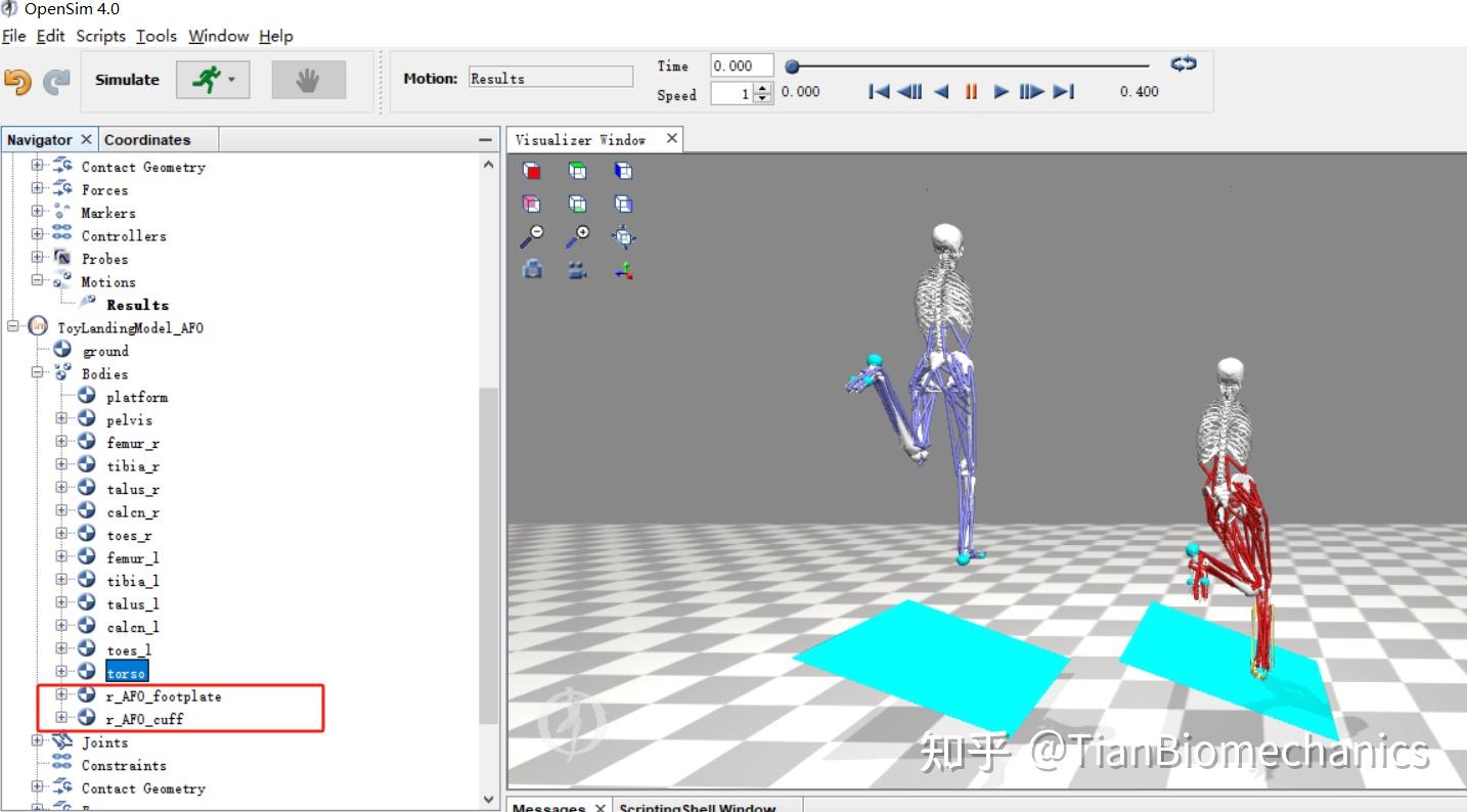 Opensim 进阶教程-预防踝关节损伤的仿真设计 - 知乎