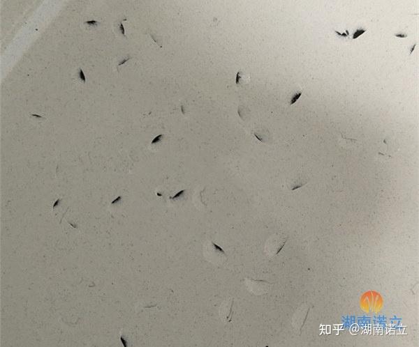 搪瓷鳞爆是什么造成的