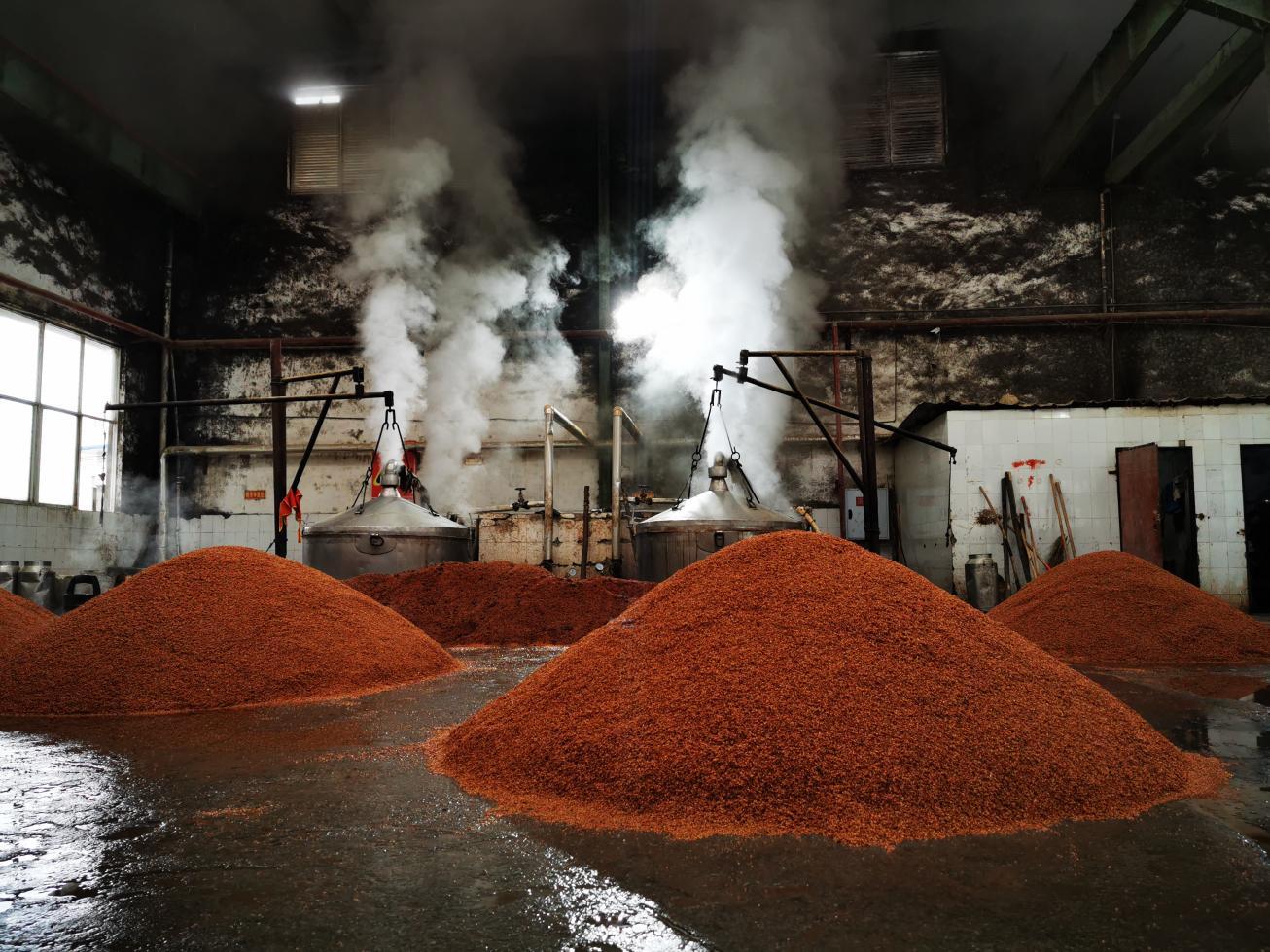 这样的酿酒条件是我们的优势所在,也是其他任何蒸馏酒所无可比拟的.