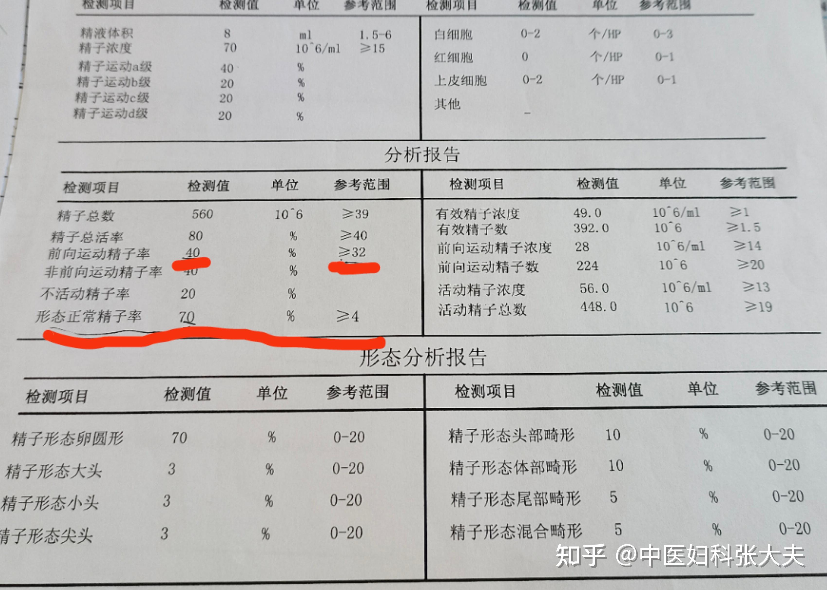 这个精液常规化验报告,可以备孕吗?