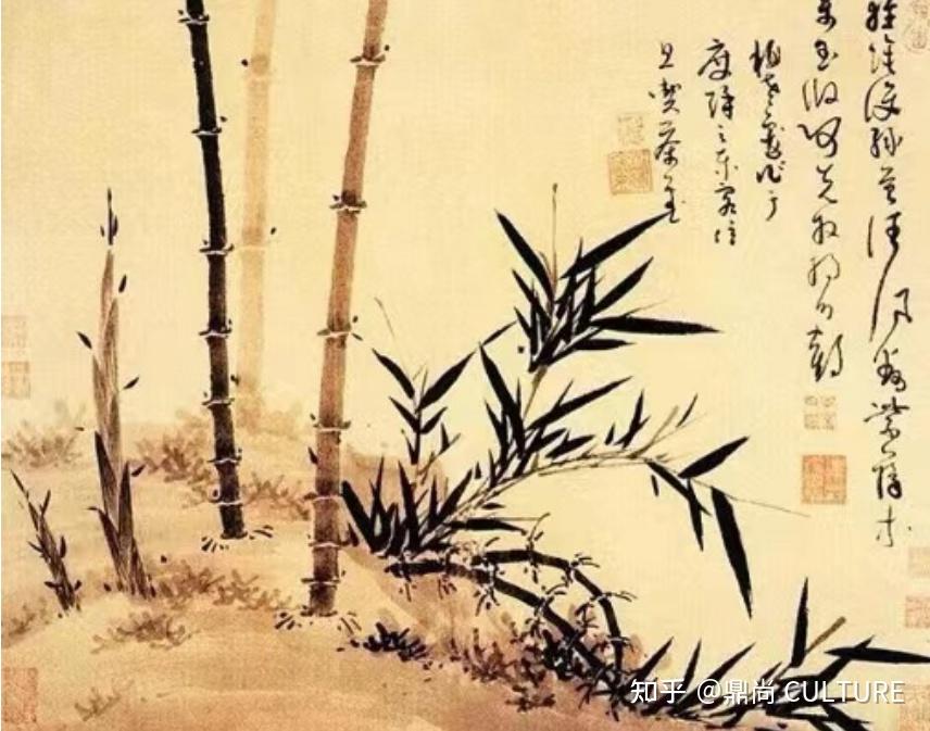 邛竹与邛竹杖 - 知乎