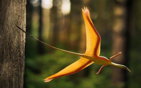 有没有详细的合弓纲和蜥形纲竞争和演化的纪录片