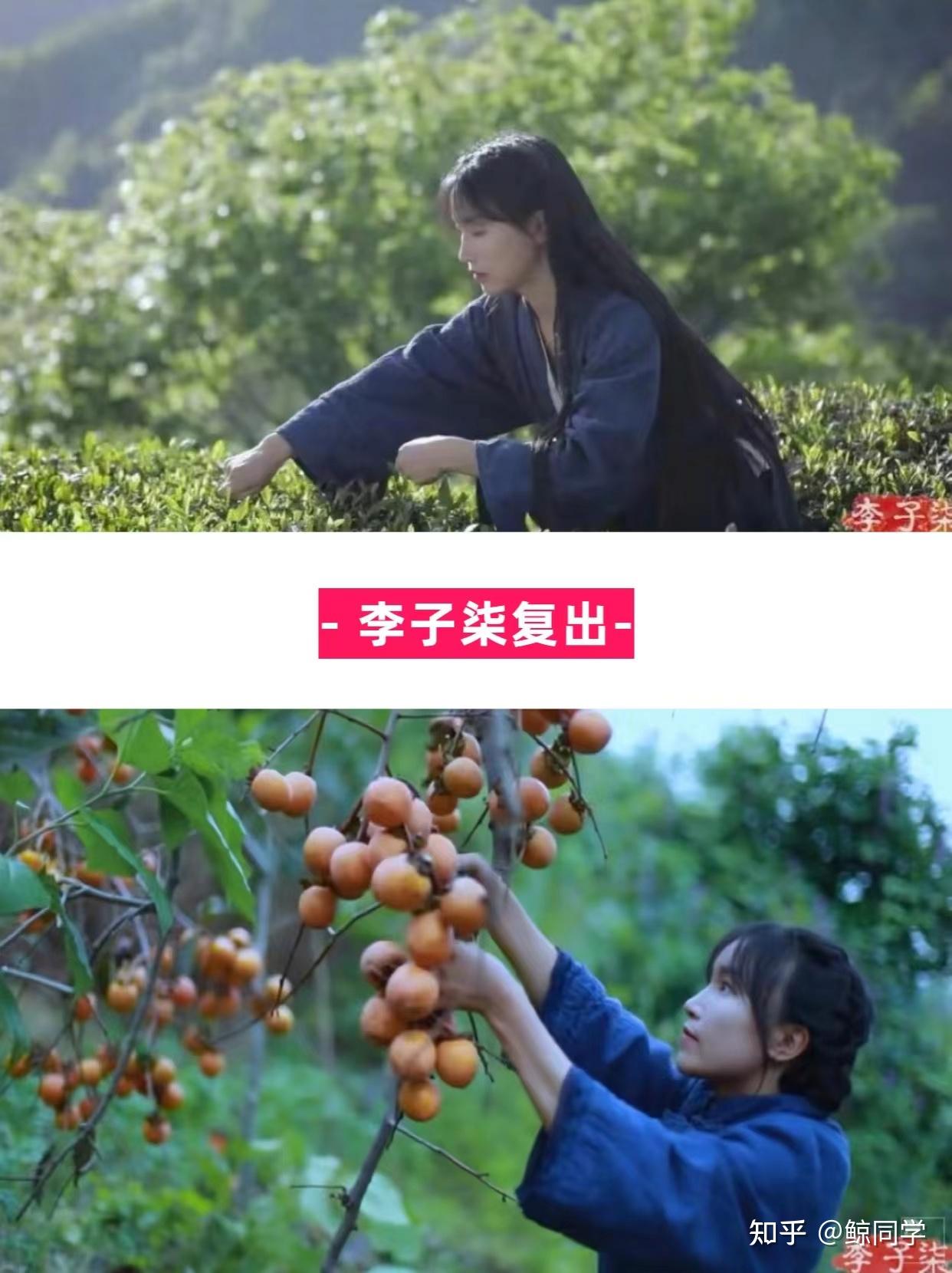 李子柒火了