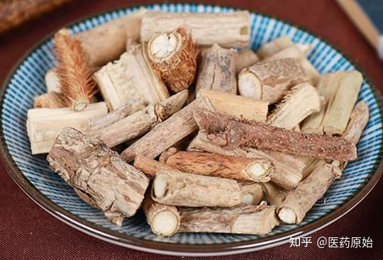 带你识别刺五加 - 知乎