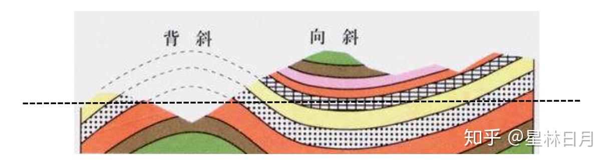 背斜横截面中间岩层老,两侧新(上新下老,凸新则老;向斜横截面中间