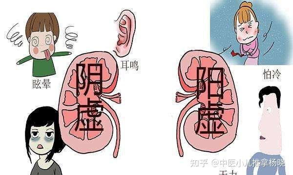 中医儿科杨晓:脾虚那点事儿,如何区分脾气虚、脾阳虚、脾阴虚? - 知乎