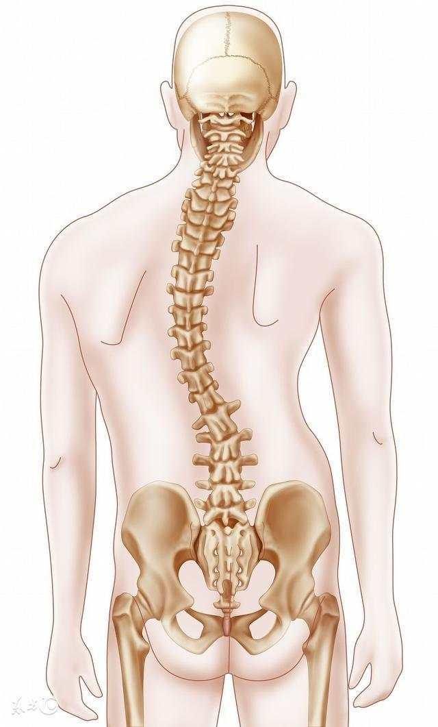 一招治疗脊柱侧弯 五分钟见效