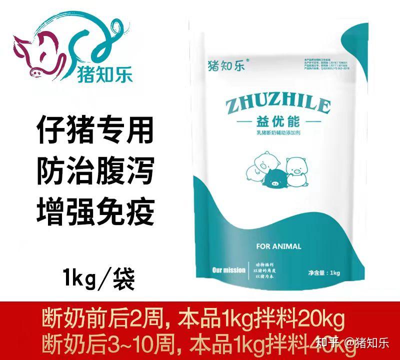 猪水肿病的诊断与防治