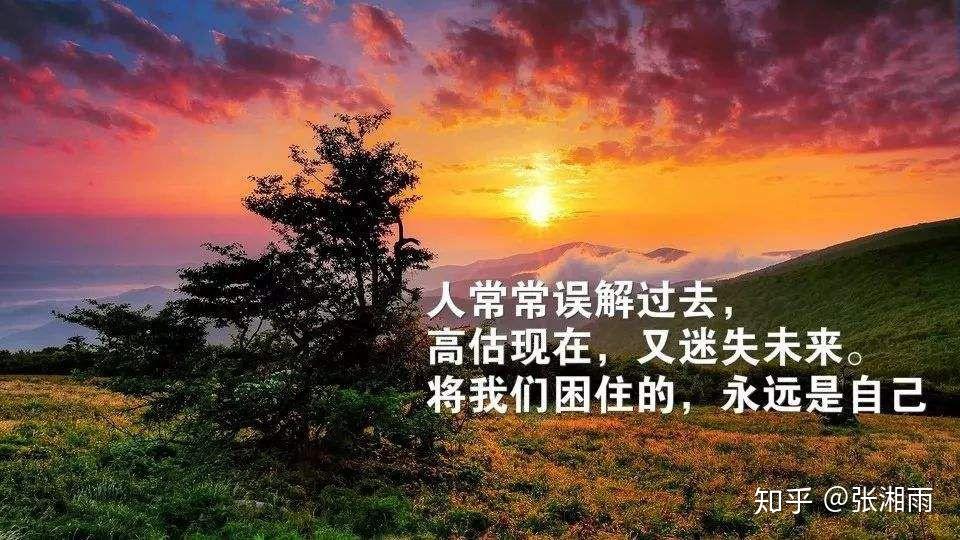 那些關於人生現實的奇葩說金句