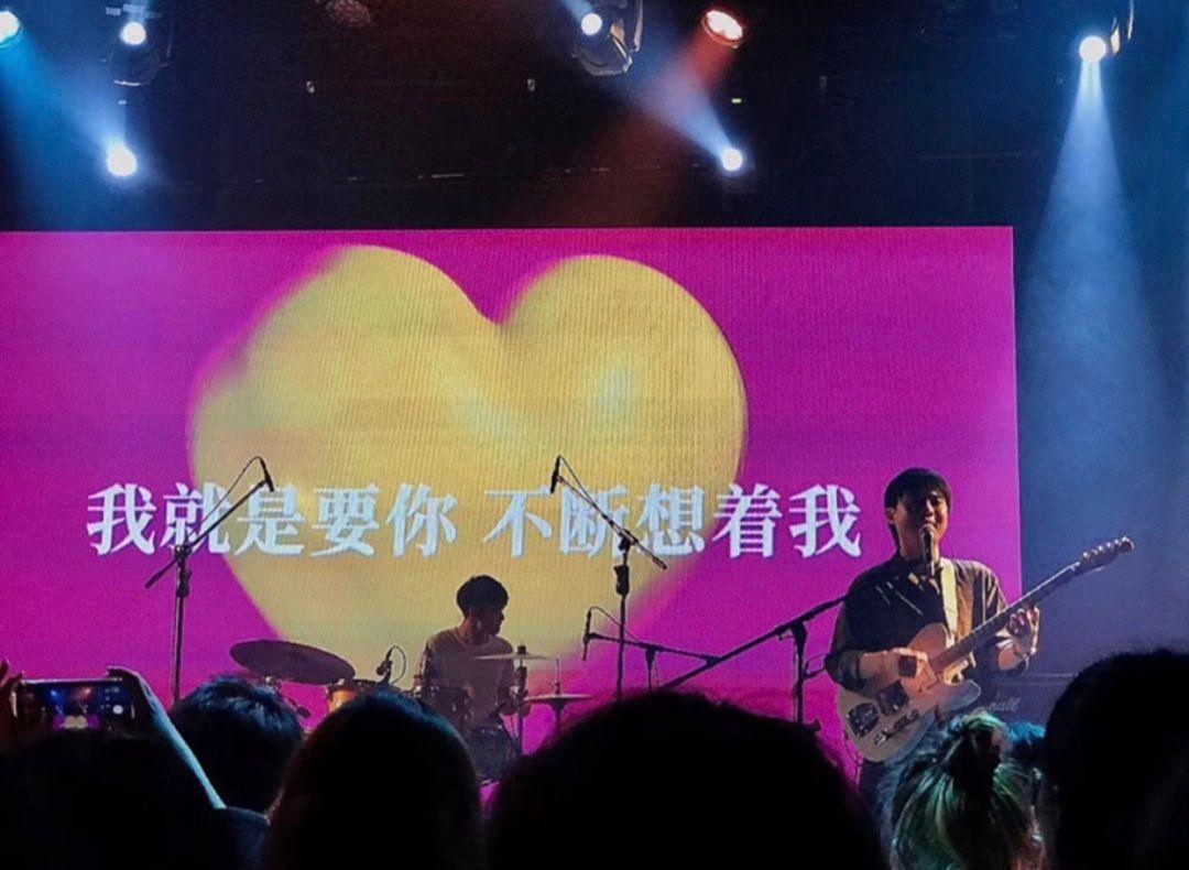 背景图|我梦寐以求是真爱和自由 音乐会壁纸