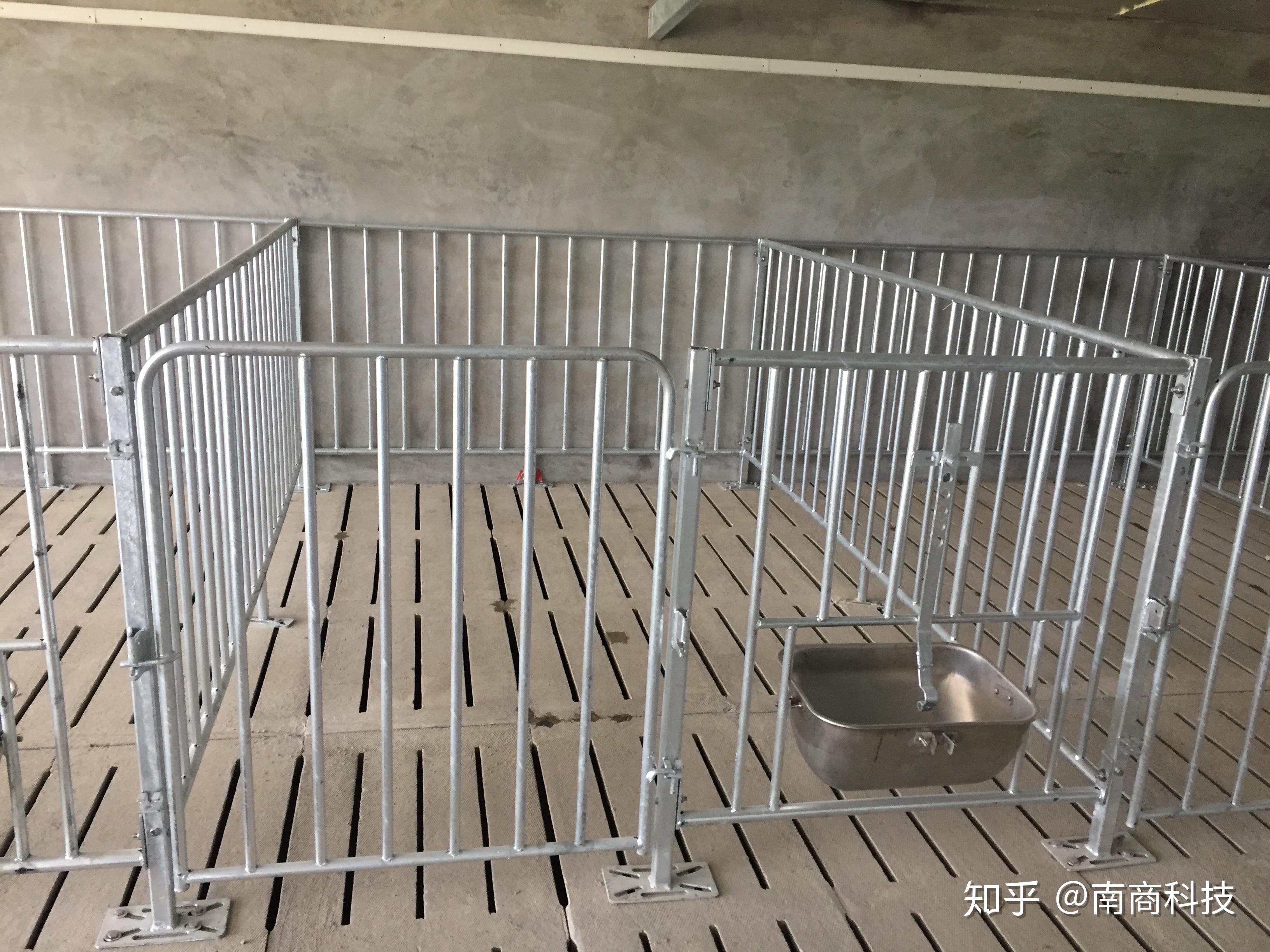 养猪规模化大势所趋,规模化猪场需要哪些养猪设备——栏位系统篇 - 知乎