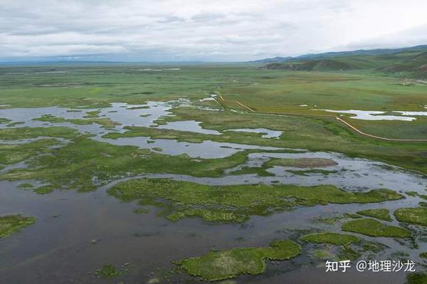 青藏高原上的若尔盖湿地,为什么被称为“最美的高寒湿地草原”? - 知乎