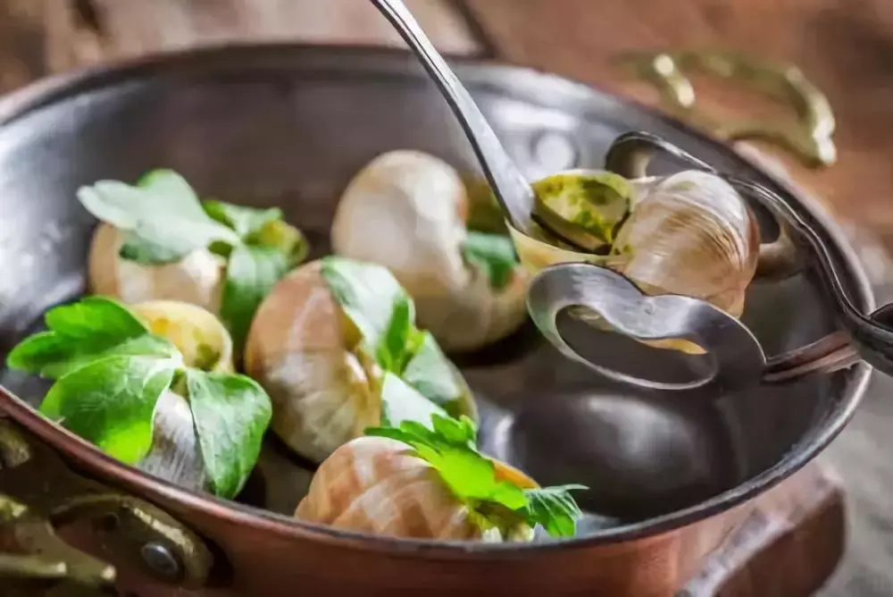 v2-f982bca15b83328a70fc0f3842689597_r.jpg