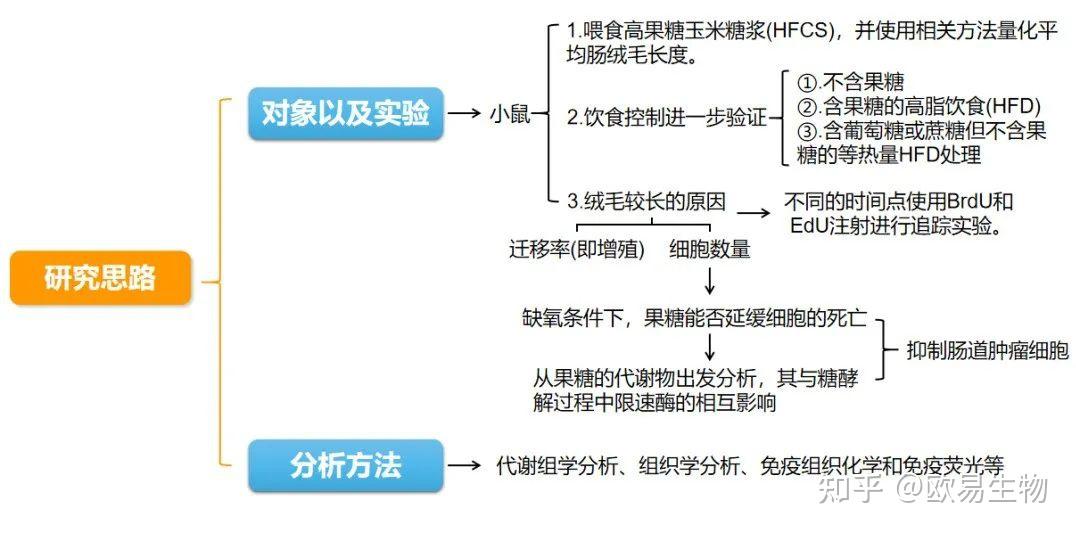 代谢组学分析为啥喝奶茶容易长胖肠道细胞存活营养吸收的关系