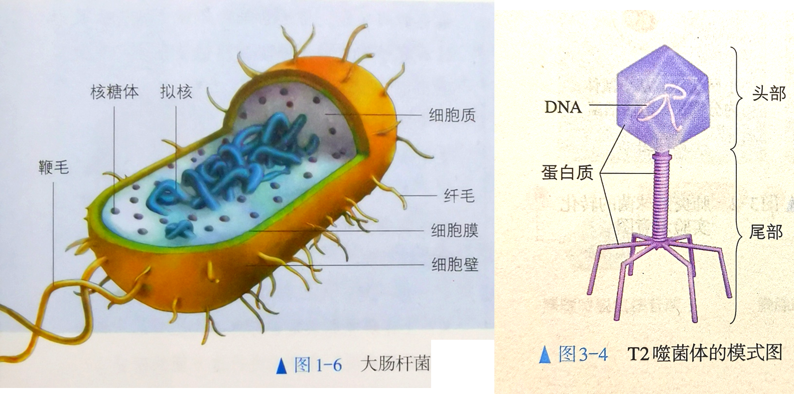 总大肠菌群测定试剂盒（15管发酵法）_水质微生物检验_株洲鸿润检测技术有限公司_株洲微生物检验|株洲培养基|培养基哪里的好