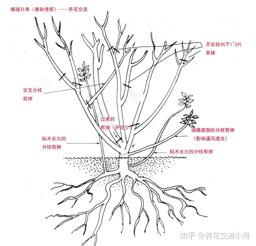 常年温度都比较温暖