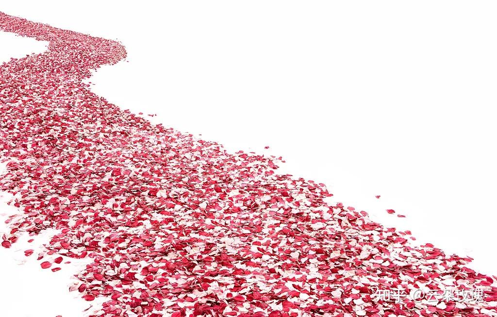 不仅如此,连睡觉她要铺满玫瑰花瓣;走路的路面要铺上玫瑰花瓣;甚至在