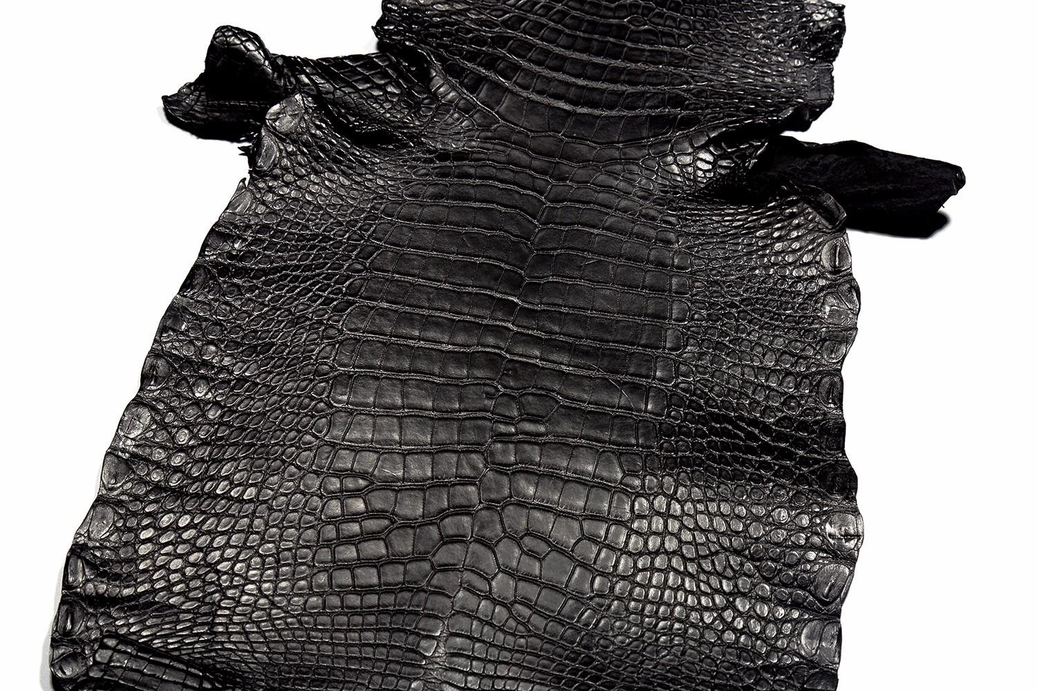 看着差不多却内有乾坤的鳄鱼皮品种你认识几种