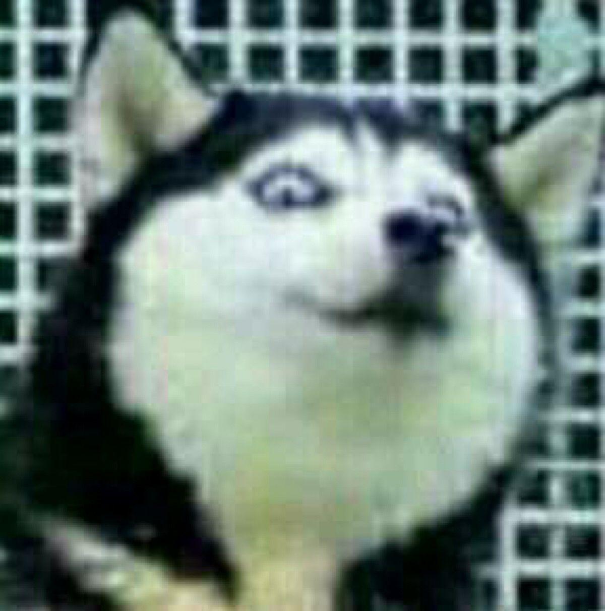 比较欢快搞笑的言情小说?