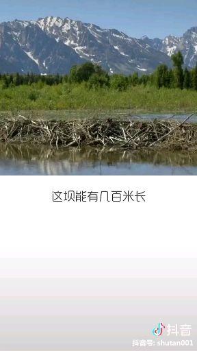 抖音上最火的三种话_抖音上火了有什么好处_抖音火是什么意思
