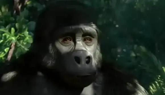 人猿泰山如何成就珍古道尔