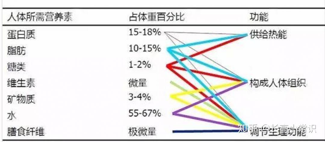 营养素的三大功效