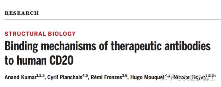 【Science论文拆解】治疗性抗体与人CD20的结合机制 - 知乎