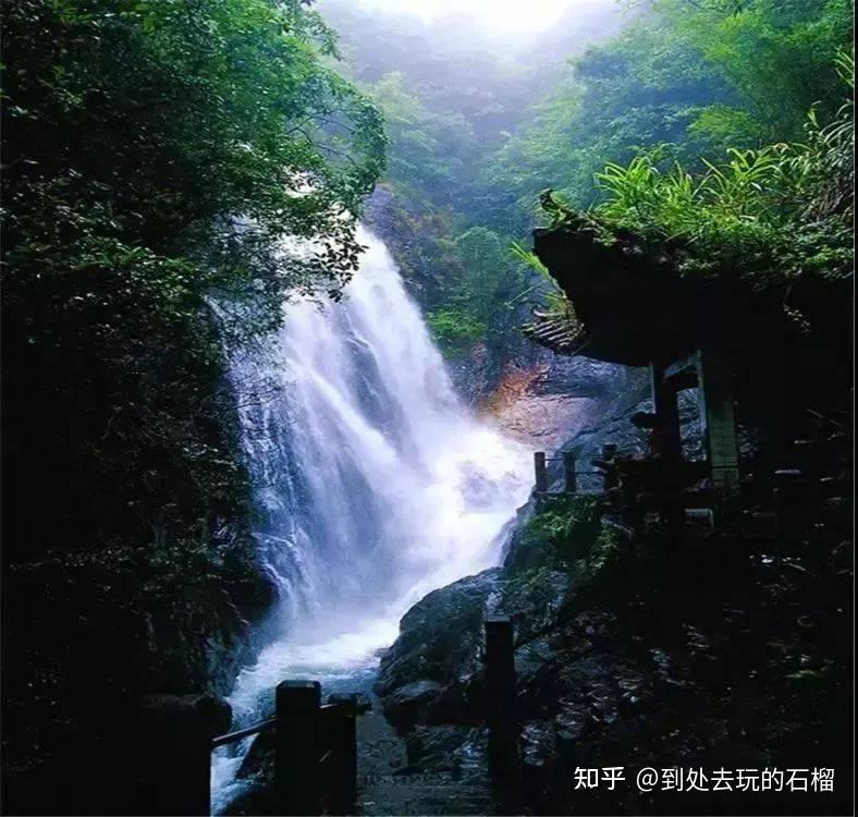 广东省内5个适合暑期带小朋友去玩的旅游胜地