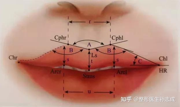 从美学角度做唇部分析 - 知乎