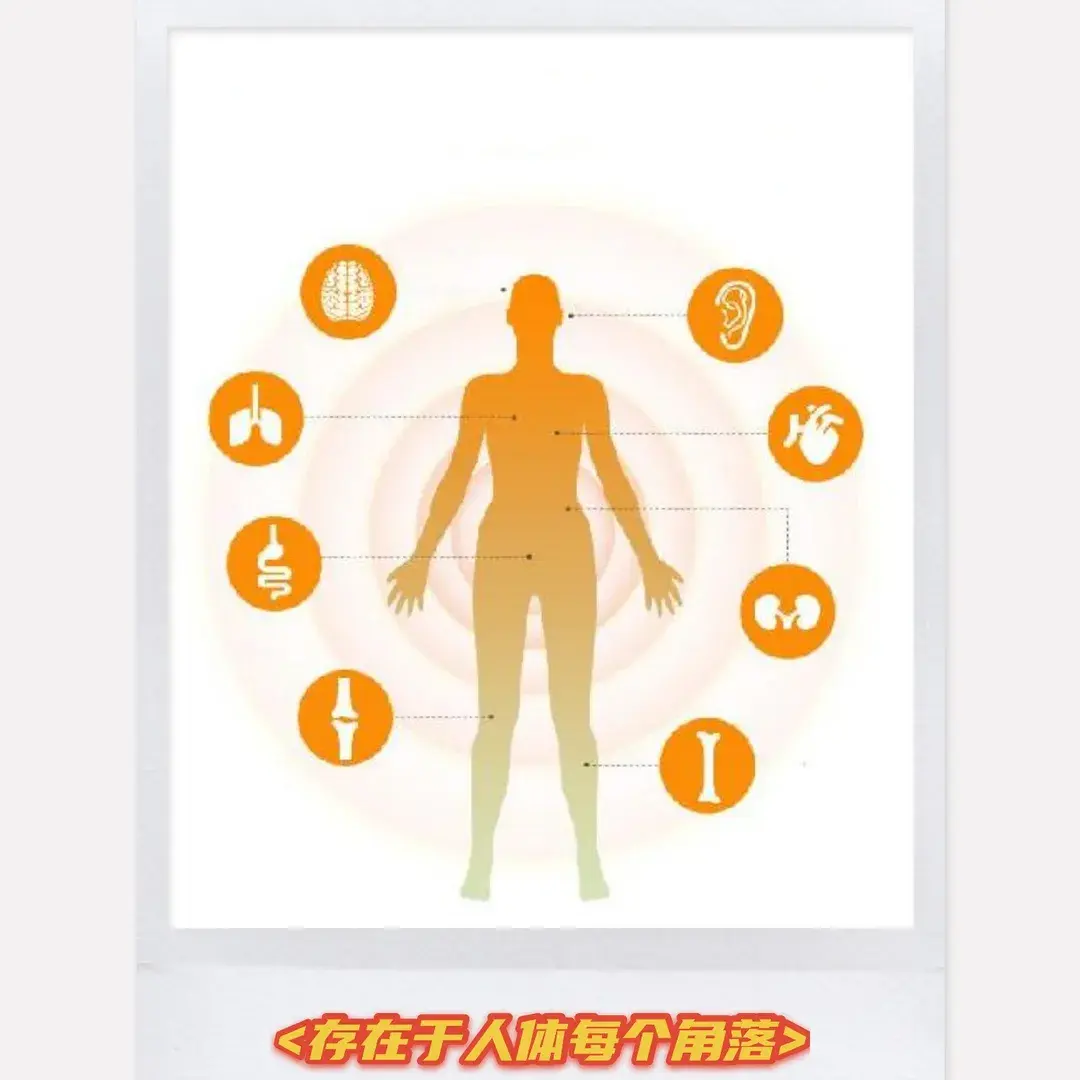 生命活动中最重要的物质蛋白质
