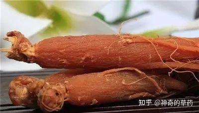 中药材:红参 - 知乎