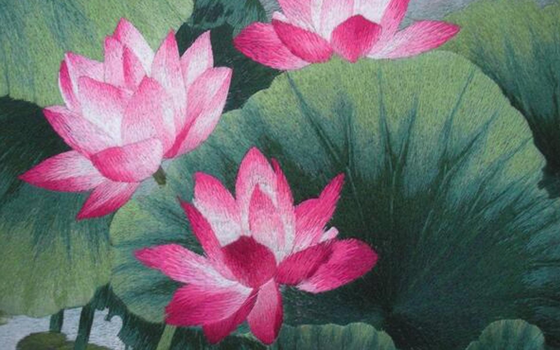 刺绣goosn科普剧场