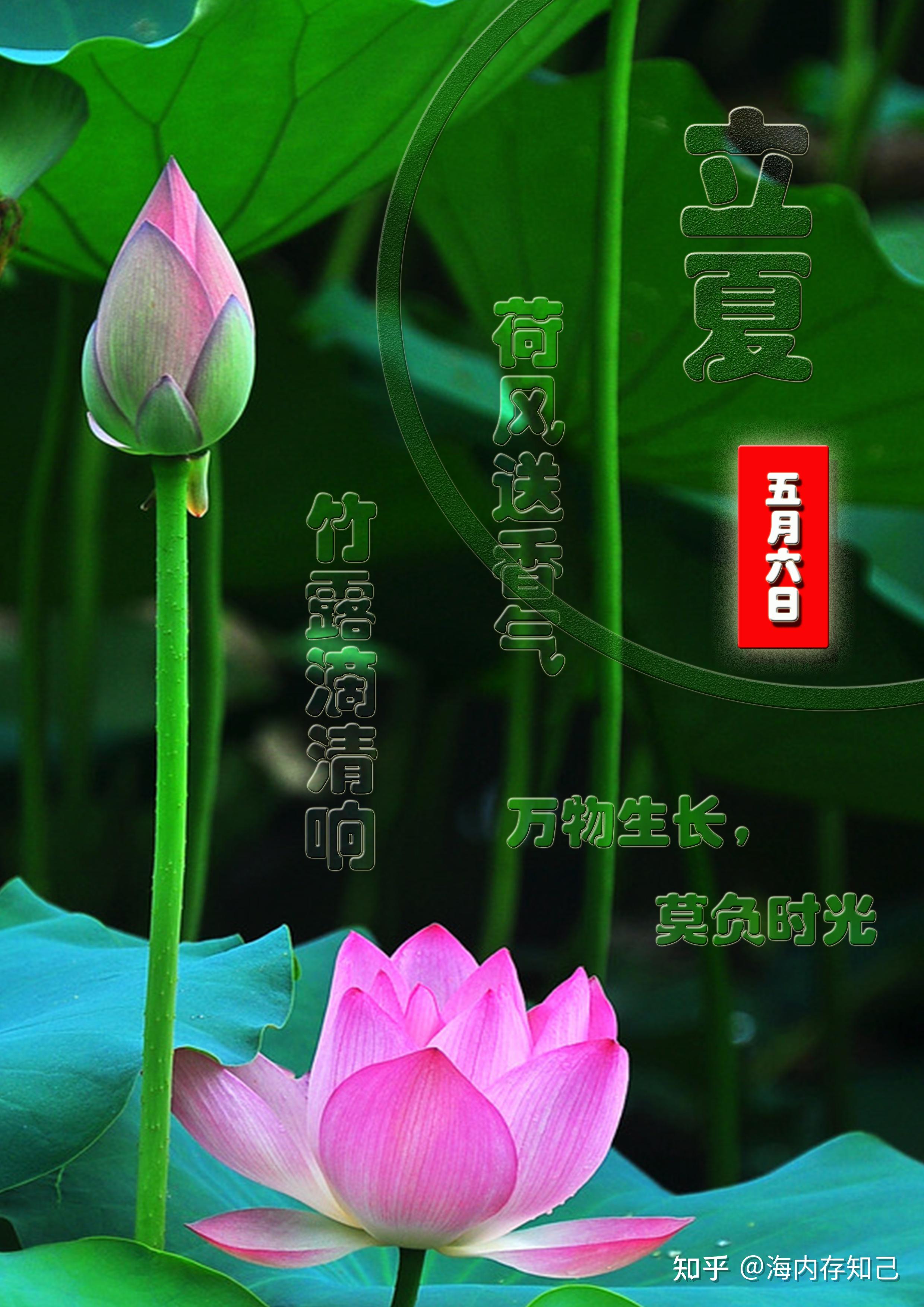 明天是24节气的立夏,关于立夏的诗句.... - 知乎