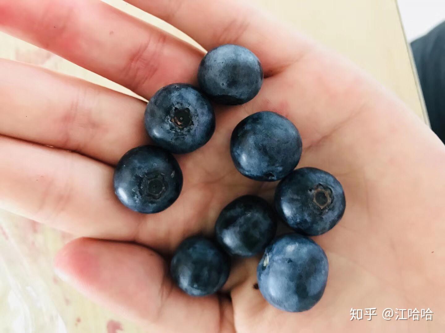 蓝莓干瘪是什么原因?