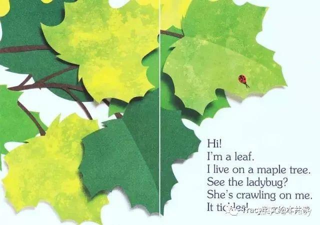 英文绘本推荐36iamaleaf解读和拓展