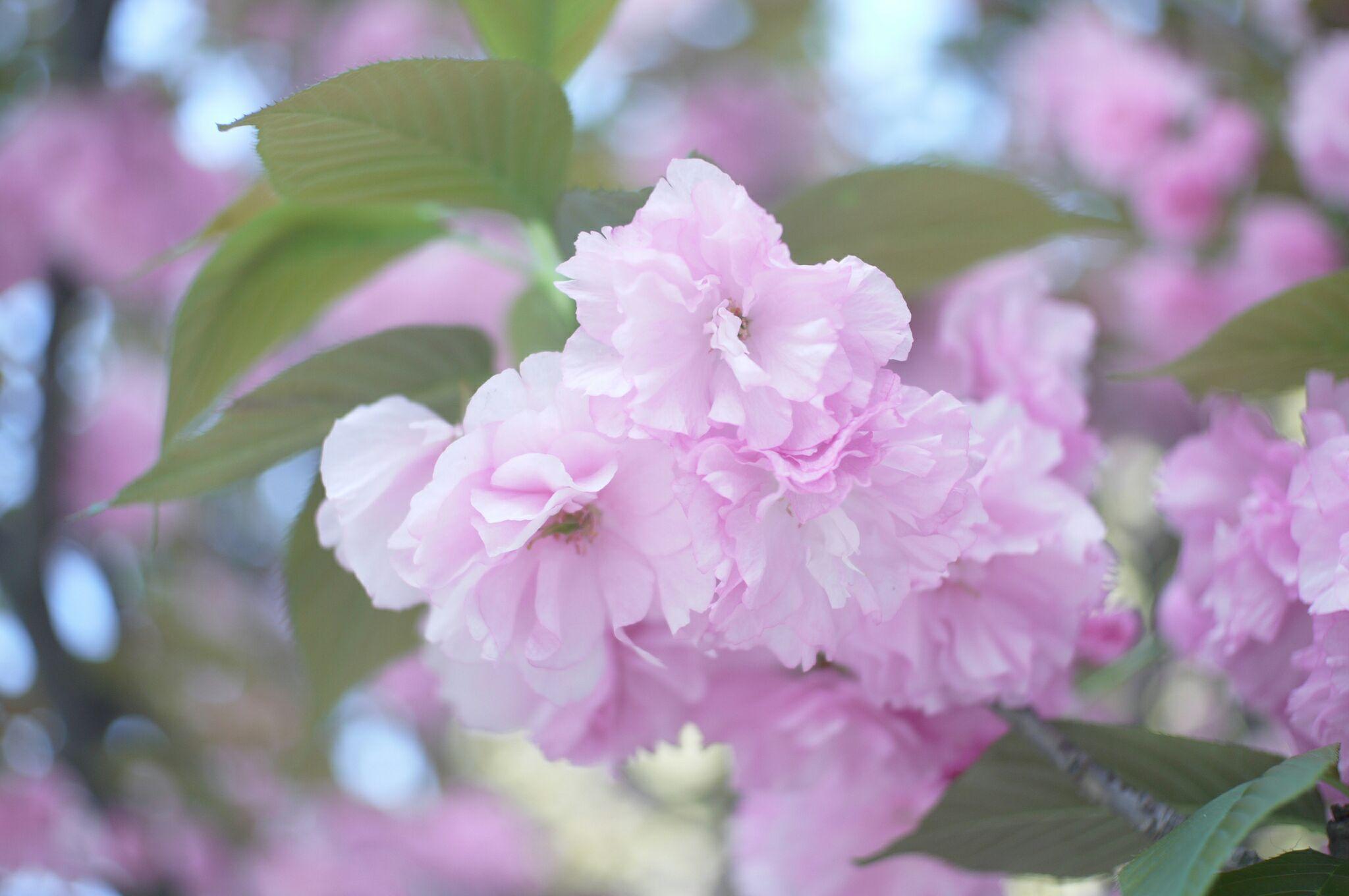 拿微单相机拍人的技巧?