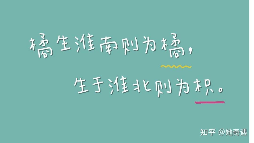 网文写作发文平台的的选择