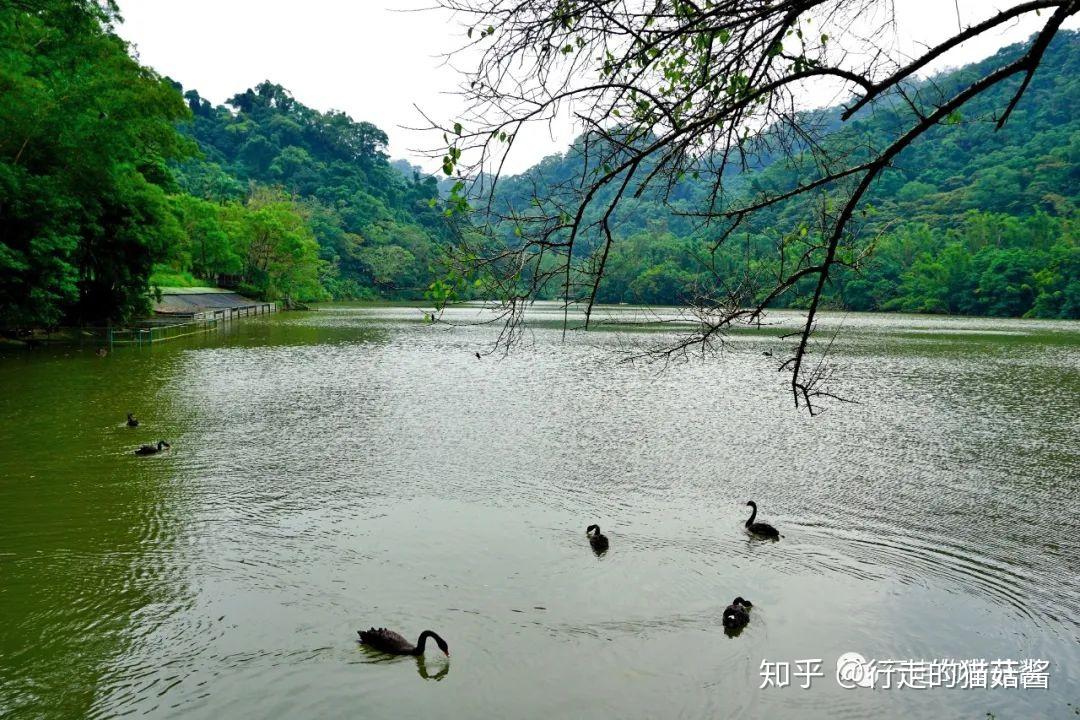 台湾大溪慈湖，蒋中正“长眠”于此，带你去看两蒋陵寝 - 知乎