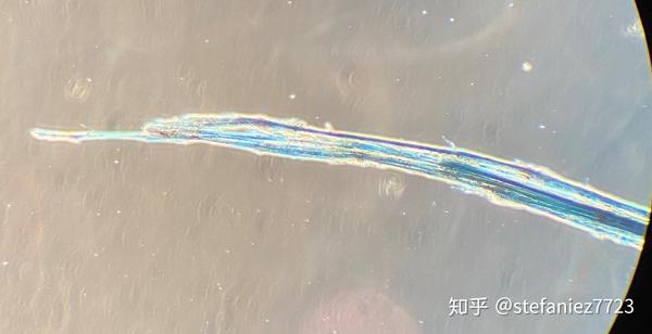 三种主要石棉(Asbestos)的实验室鉴别 - 知乎